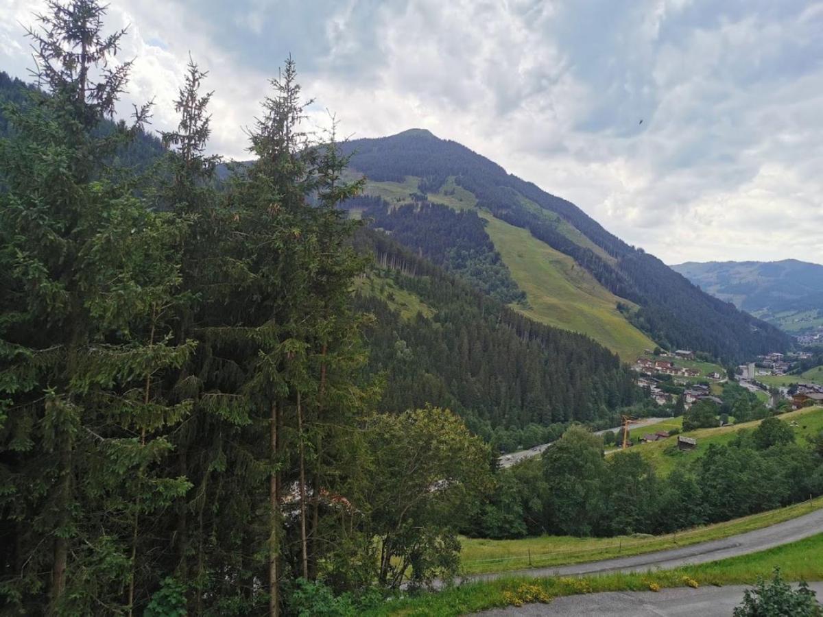 Landhaus Oberzinnegg Saalbach-Hinterglemm Dış mekan fotoğraf