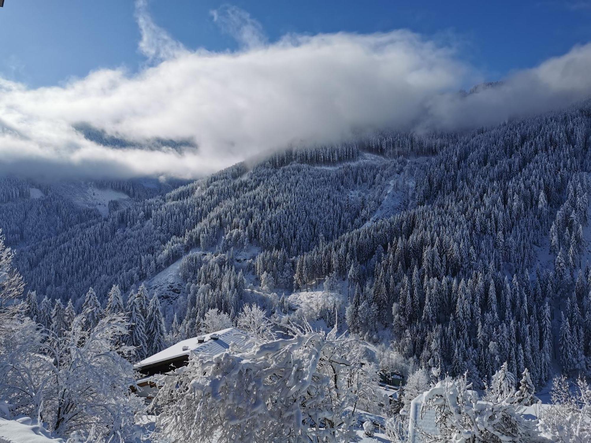 Landhaus Oberzinnegg Saalbach-Hinterglemm Dış mekan fotoğraf